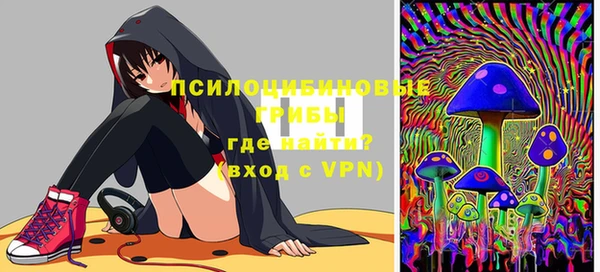молекула духа Верхний Тагил