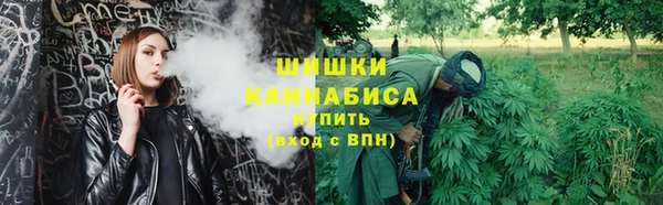 молекула духа Верхний Тагил