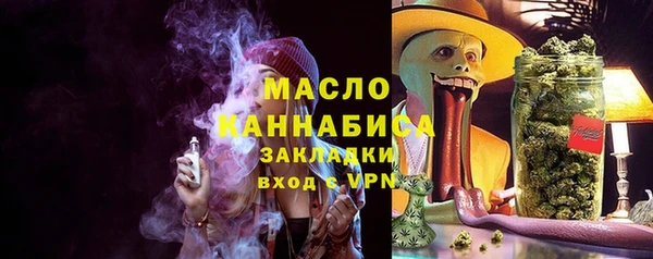 дживик Бронницы